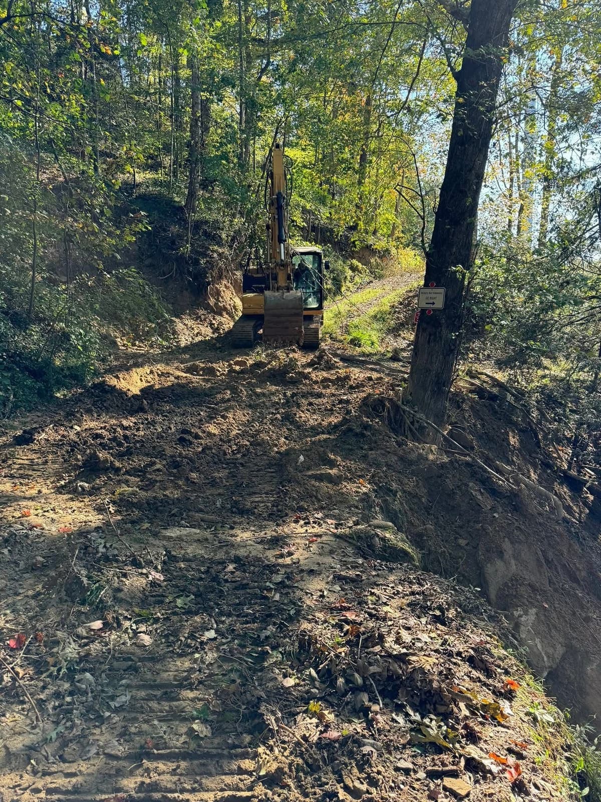An excavator working up a wooded slope during land clearing.
